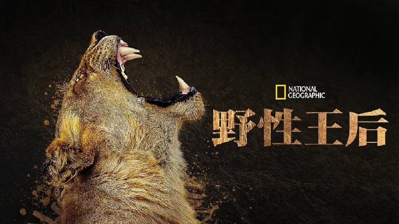 大自然的女王（2024）4K SDR 高码 中英双音轨双字幕 6.5G/单集 7 集全