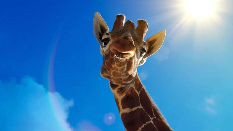 巨兽（2023）4K HDR 内封简繁10 集全 大小：49G