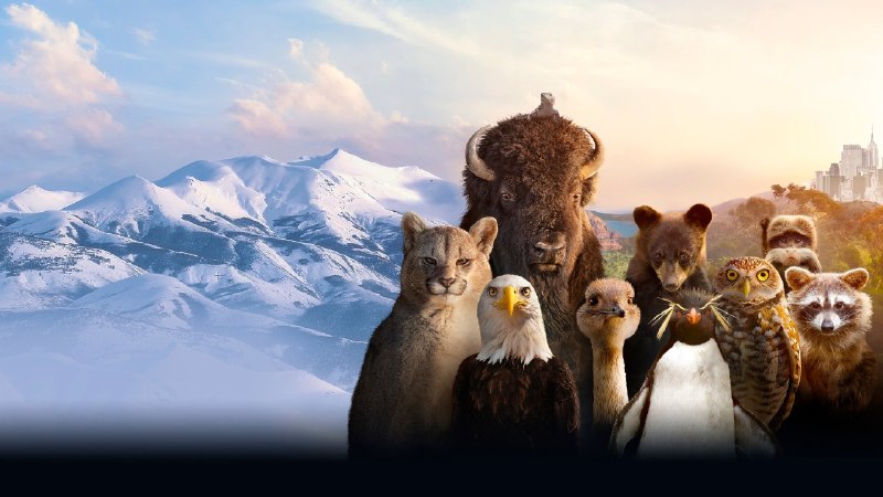 穿越极致美洲 (2025) 4KSDR60FPS  11 集全 - 