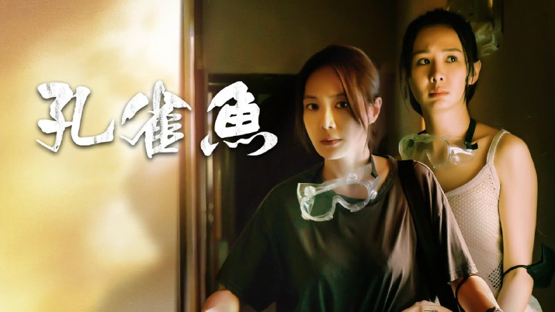 孔雀鱼（2024）IQ 4K 内封简中 更至EP06