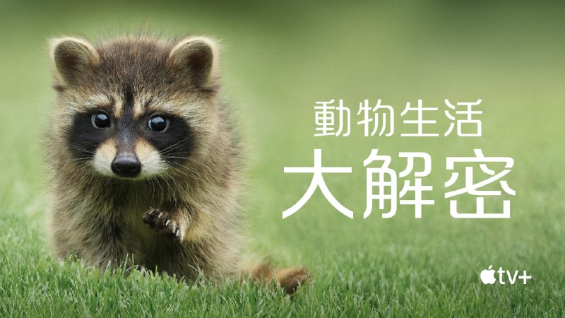 动物的秘密生活（2024）4K HDR10+ 内封简繁 S01全