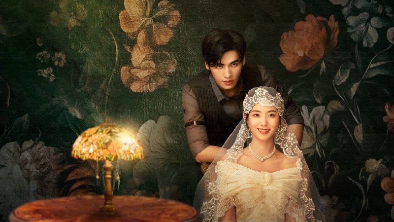 不识君（2025）4K  24 集全