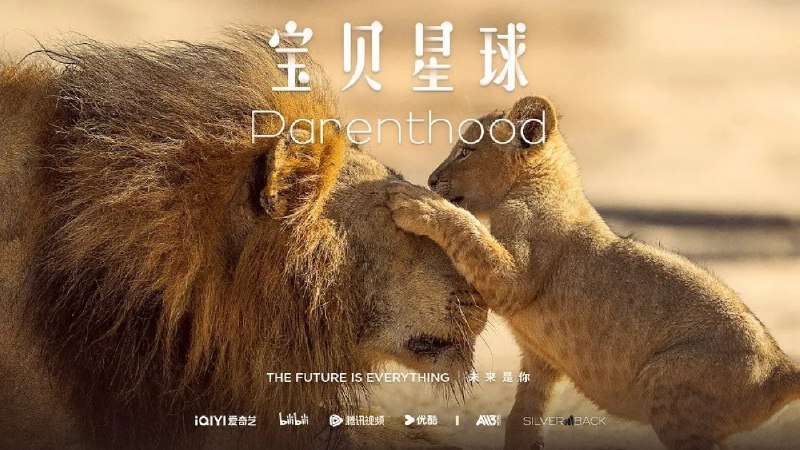 宝贝星球（2025）纪录片 4K 中文配音 内嵌字幕 6 集全 完结