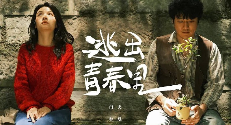 阳光照耀青春里（2025）肖阳新作 4K/4KHDR60 帧高码率