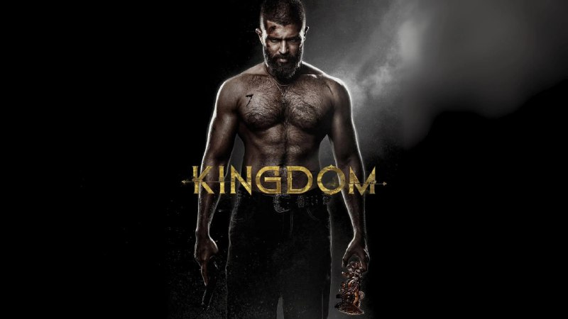 王国 (2025) NF 4K DV&HDR 内封官中 19.6G- 