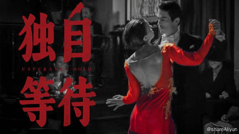 美洲大宝鉴：独自等待（2025）食贫道纪录片 4K