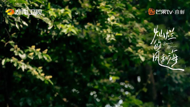 灿烂的风和海 (2024) 4K 首更03集