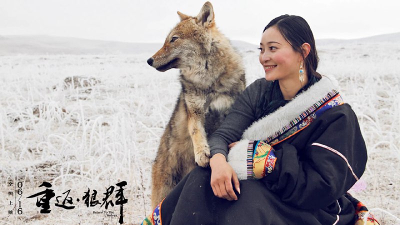 重返·狼群 (2017) 4K HQ 高码率 内嵌简英 12.5G - 