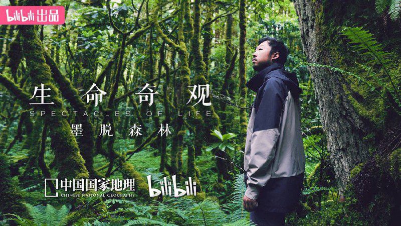 生命奇观（2023）纪录片 4K 3 集全