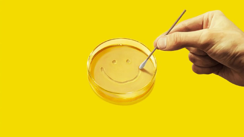 同乐者 (2025) 4KHDR&DV P8 内封简中 更至 EP08 - 