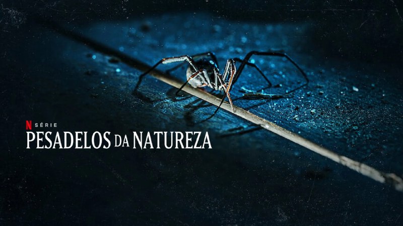 大自然恐怖故事 (2025) NF4K SDR 内封简中  3G/单集 3集全 - 